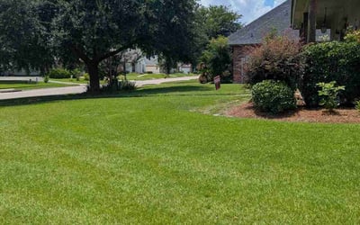 Photo of Jim K.'s yard after getting lawn care in Brunswick, OH