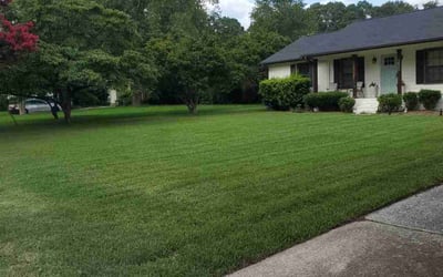 Photo of Crystal L.'s yard after getting tree care in Selma, NC