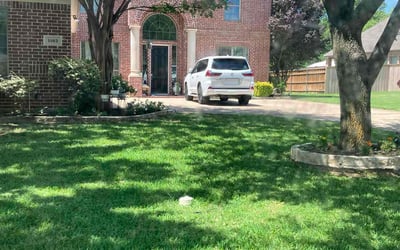 Photo of Rocko H.'s yard after getting lawn care in Savage, MN