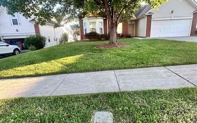 Photo of VIVIAN W.'s yard after getting lawn care in Bessemer City, NC