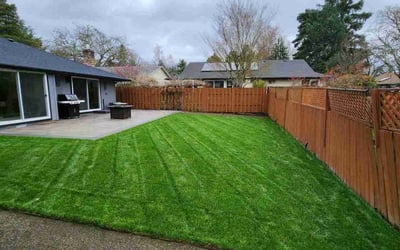 Photo of Junon A.'s yard after getting lawn care in Beaverton, OR