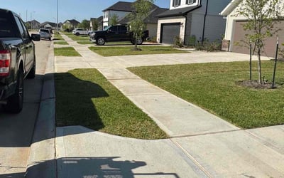 Photo of Denver M.'s yard after getting lawn care in Katy, TX