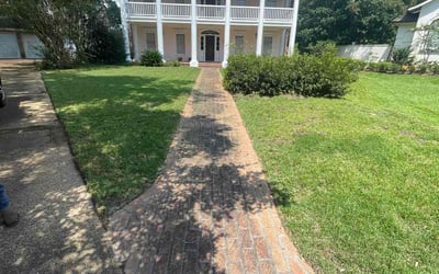 Photo of Michelle K.'s yard after getting lawn care in Gulfport, MS