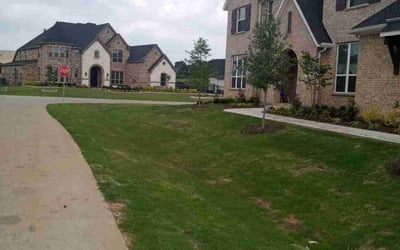 Photo of Dandi D.'s yard after getting lawn care in Canonsburg, PA