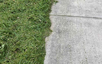 Photo of Susana V.'s yard after getting lawn care in Batavia, OH