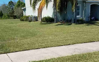 Photo of 'Topher T.'s yard after getting lawn care in Saint Cloud, FL