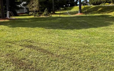 Photo of Claudette C.'s yard after getting lawn care in Princeton, NC