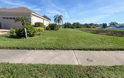 Photo of Donna M.'s yard after getting lawn care in Dacula, GA