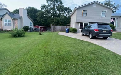 Photo of Mel S.'s yard after getting lawn care in Parker, CO