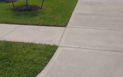 Photo of Darya P.'s yard after getting lawn care in New Caney, TX