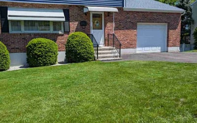 Photo of Jacqueline D.'s yard after getting lawn care in Pasco County, FL
