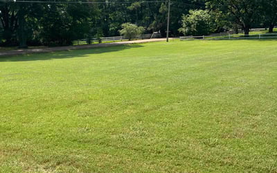Photo of Kelvin P.'s yard after getting lawn care in Collierville, TN