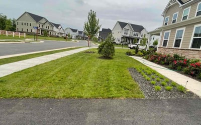 Photo of Dustin E.'s yard after getting lawn care in Oakton, VA