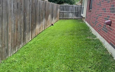 Photo of Anitria T.'s yard after getting lawn care in Nutley, NJ