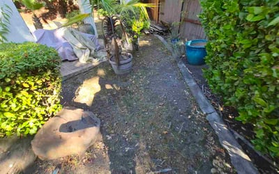 Photo of Richard W.'s yard after getting lawn care in House Springs, MO
