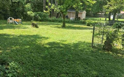Photo of Jason K.'s yard after getting lawn care in Hudson, NH