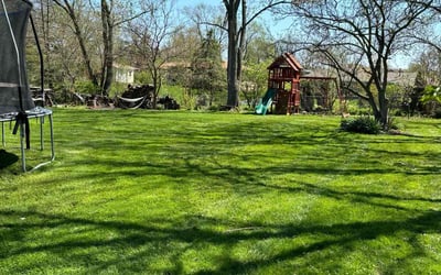 Photo of Linda L.'s yard after getting lawn care in Lemont, IL