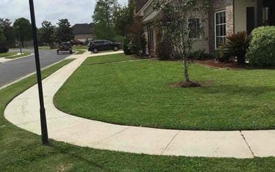 Photo of Barbara K.'s yard after getting lawn care in Youngsville, NC