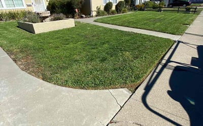Photo of Danielle M.'s yard after getting lawn care in Concord, CA