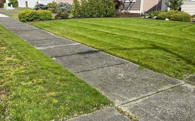 Photo of Kevin D.'s yard after getting lawn care in Marysville, WA