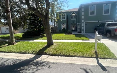 Photo of Joao L.'s yard after getting lawn care in Gibsonton, FL