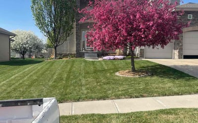 Photo of Dowayne P.'s yard after getting lawn care in Elkhorn, NE