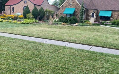 Photo of Itohan O.'s yard after getting lawn care in Munster, IN