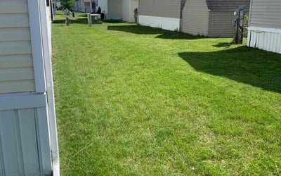 Photo of Bianca B.'s yard after getting lawn care in Flat Rock, MI