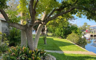 Photo of Joe M.'s yard after getting lawn care in Hudson, FL