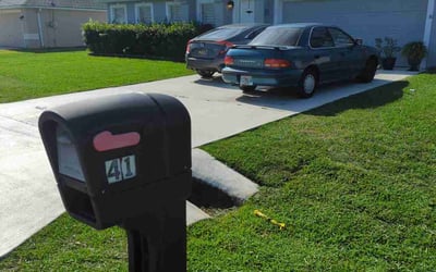 Photo of John W.'s yard after getting lawn care in Holly Hill, FL