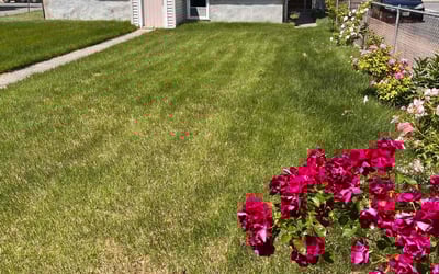 Photo of Jeremiah A.'s yard after getting lawn care in Fall River, MA