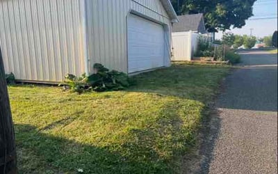 Photo of Katelyn S.'s yard after getting lawn care in Inverness, FL