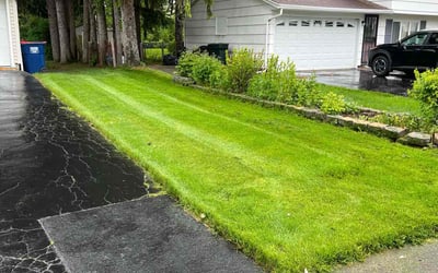Photo of Jerry B.'s yard after getting lawn care in Newark, NY