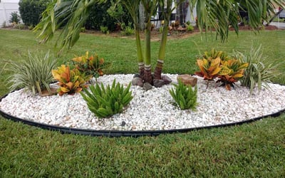 Photo of Tasha A.'s yard after getting lawn care in Rex, GA