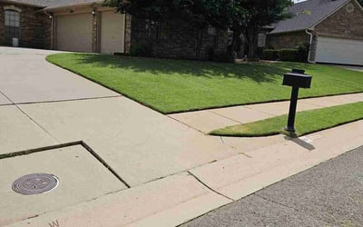 Photo of Allie B.'s yard after getting lawn care in Breaux Bridge, LA