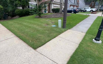 Photo of Antwan F.'s yard after getting lawn care in Kennesaw, GA