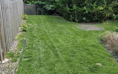Photo of Wayne R.'s yard after getting lawn care in Hackensack, NJ