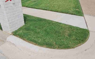 Photo of Tarron B.'s yard after getting lawn care in Addison, TX