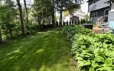 Photo of Chris E.'s yard after getting lawn care in Delmar, NY