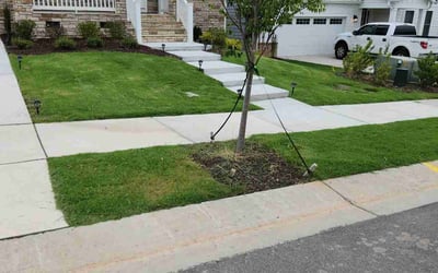 Photo of Naagarjuna G.'s yard after getting lawn care in Holly Springs, NC