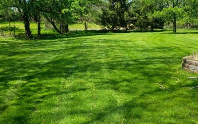Photo of Denise S.'s yard after getting lawn care in Fairburn, GA