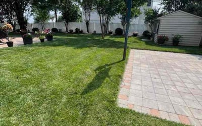 Photo of Rameez G.'s yard after getting lawn care in Cottage Grove, MN
