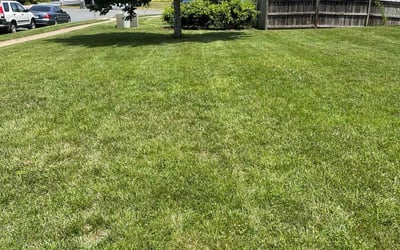 Photo of Harry F.'s yard after getting lawn care in Annandale, VA