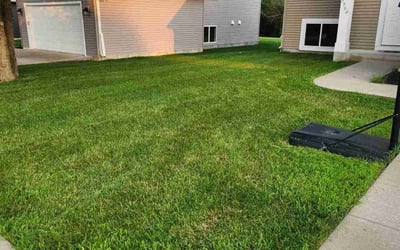 Photo of Dominick K.'s yard after getting lawn care in Rochester, MN