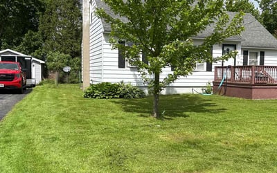Photo of Sheila W.'s yard after getting lawn care in Florence, SC