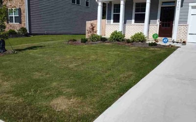 Photo of Donna K.'s yard after getting lawn care in Fairburn, GA