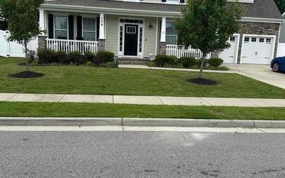 Photo of Theresa W.'s yard after getting lawn care in Oak Lawn, IL