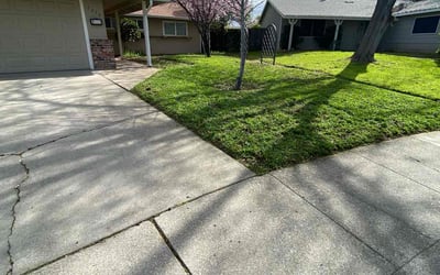 Photo of Bri S.'s yard after getting lawn care in Citrus Heights, CA