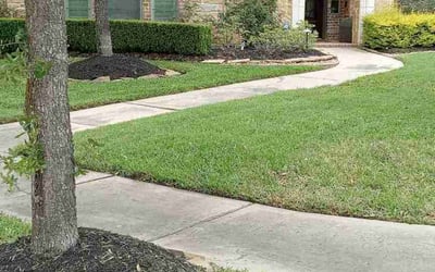 Photo of Diane B.'s yard after getting lawn care in Scottsdale, AZ