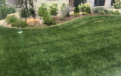 Photo of Brian L.'s yard after getting lawn care in Higginsville, MO